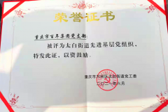 百年集團黨支部回報社會，努力踐行社會責任與