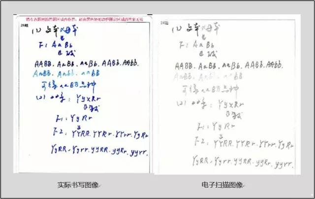 中高考電腦閱卷流程這樣的！讀完可多拿20分（轉(zhuǎn)給考生，這對他們有用）