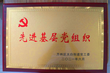集團(tuán)黨支部回報社會，努力踐行社會責(zé)任與擔(dān)當(dāng)